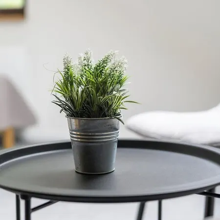 ロッジ Chalupa Sec Seč